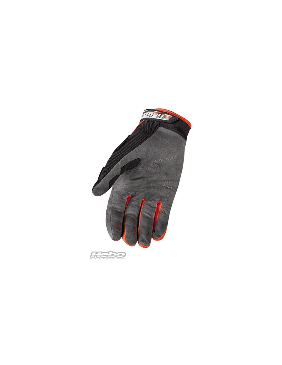 GANTS PHENIX SWAY (Promo)