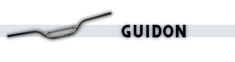 Guidon