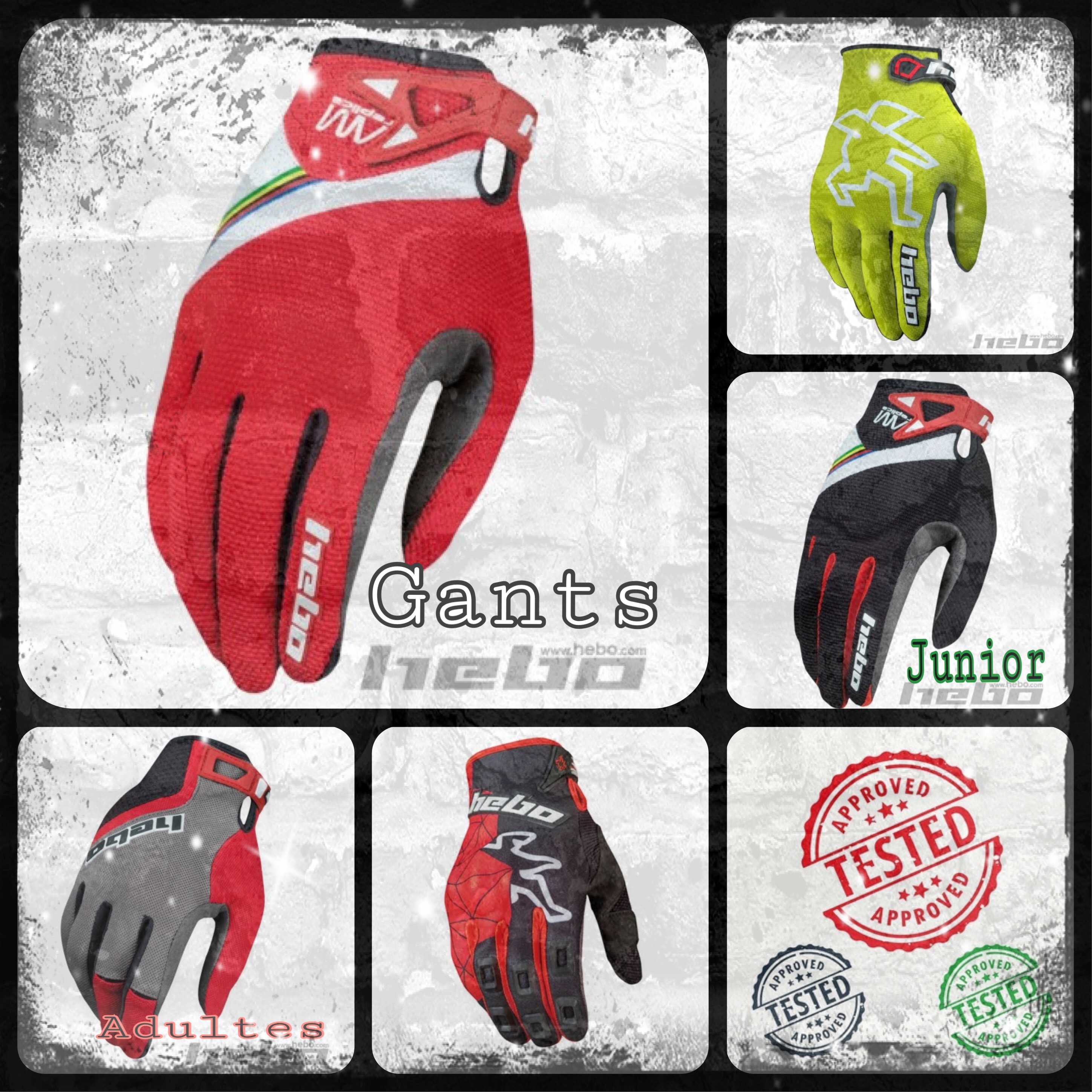 Gants Gants